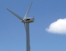 Windmill.jpg