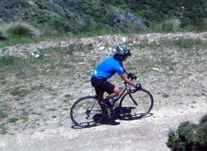 roadie2